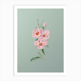 Vintage Pink Ruddy Godetia Botanical Art on Mint Green n.0222 Art Print