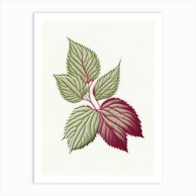 Raspberry Leaf Herb William Morris Inspired Line Drawing 3 Art Print