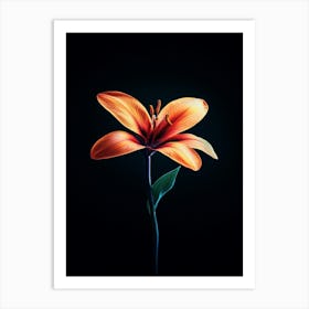 Orange Lily 11 Art Print