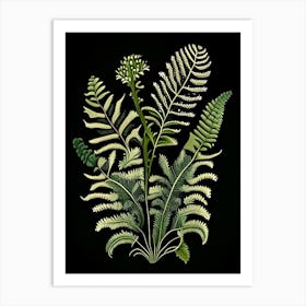 Ebony Spleenwort Wildflower Vintage Botanical Art Print