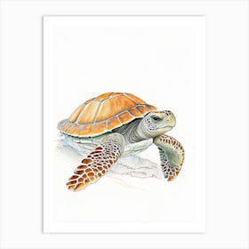 Loggerhead Sea Turtle (Caretta Caretta), Sea Turtle Pencil Illustration 1 Art Print