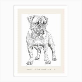 Dogue De Bordeaux Line Sketch 2 Poster Art Print