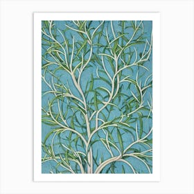 Pinyon Pine 2 tree Vintage Botanical Art Print