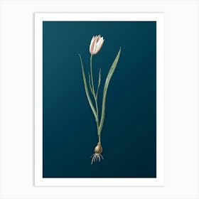 Vintage Lady Tulip Botanical Art on Teal Blue n.0745 Art Print