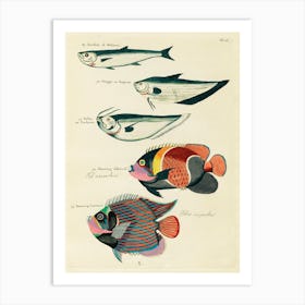 Colourful And Surreal Illustrations Of Fishes Found In Moluccas (Indonesia) And The East Indies, Louis Renard(24) Art Print