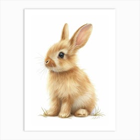Netherland Dwarf Rabbit Kids Illustration 4 Art Print