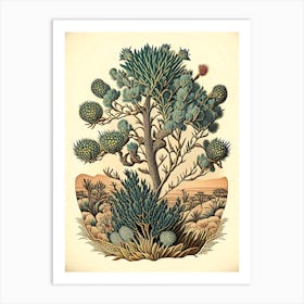 Joshua Tree Wildflower Vintage Botanical Art Print
