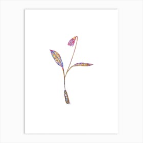 Stained Glass Erythronium Mosaic Botanical Illustration on White n.0023 Art Print