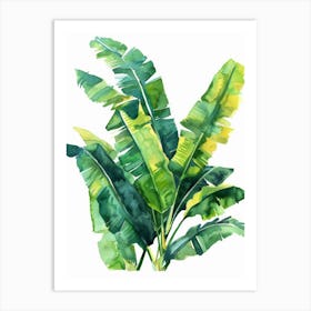 Banana Leaf 15 Art Print