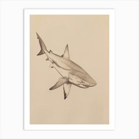 Cookiecutter Shark Vintage Illustration 6 Art Print