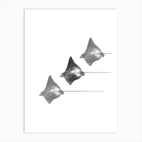 Spotted Eagle Ray Black and White Portrait Abstract Minimalist Boho Art Print Art Print