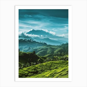 Tea Fields In Sri Lanka Art Print