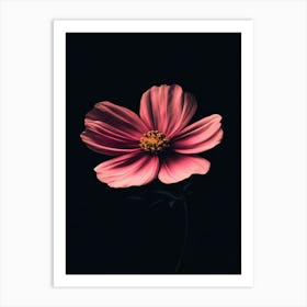 Pink Flower On Black Background 14 Art Print