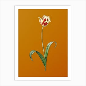 Vintage Didier's Tulip Botanical on Sunset Orange n.0091 Art Print
