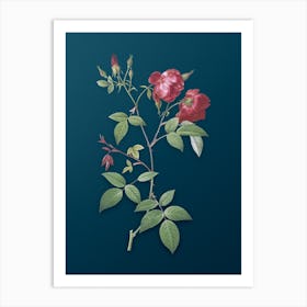 Vintage Velvet China Rose Botanical Art on Teal Blue n.0036 Art Print