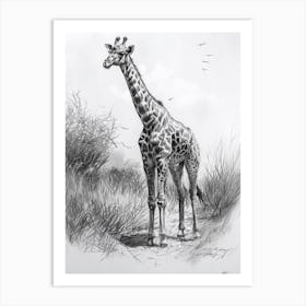Lone Giraffe In The Wild 2 Art Print