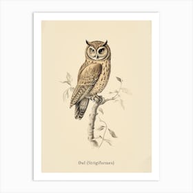 Vintage Owl 2 Poster Art Print