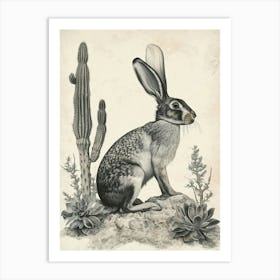 Florida White Rabbit Drawing 1 Art Print