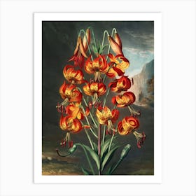 Lily Of The Valley 28 Art Print