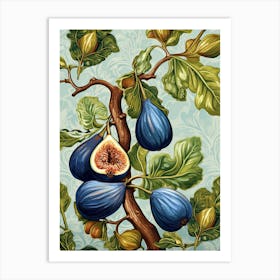 Figs Illustration 3 Art Print