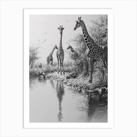 Giraffes Inspecting Their Reflection Pencil Drawing 1 Art Print