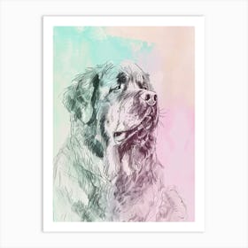 Newfoundland Pastel Line Illustration 2 Art Print