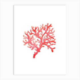 Coral 2 Art Print