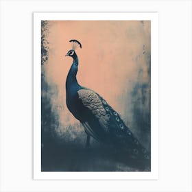 Peacock In The Wild Cyanotype Inspired 2 Art Print