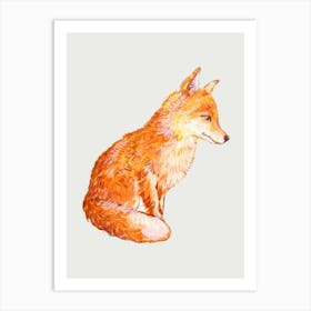 Fox Watercolor Painting Art Print