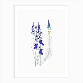 Larkspur Floral Minimal Line Drawing 5 Flower Art Print