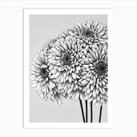Chrysanthemums B&W Pencil 2 Flower Art Print