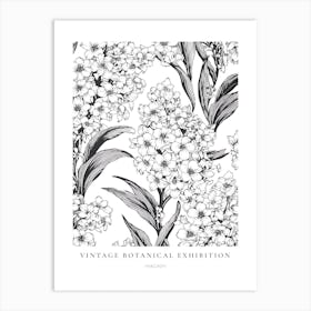 Hyacinth B&W Vintage Botanical Poster Art Print