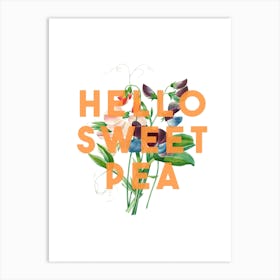 Hello Sweet Pea Art Print