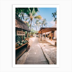 Coconut On The Beach Art Print