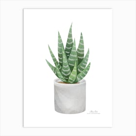 Aloe vera plant. Green plant. Beautiful plant. Thorns plant. Aloe vera flowers.9 Art Print