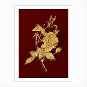 Vintage Blood Red Bengal Rose Botanical in Gold on Red n.0420 Art Print