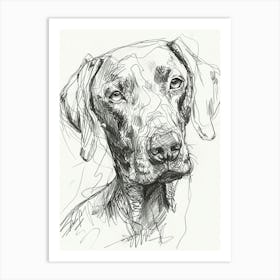 Weimaraner Dog Line Sketch 1 Art Print