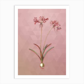 Vintage Nerine Botanical Art on Crystal Rose n.1614 Art Print