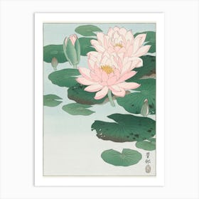 Water Lily (1920 1930), Ohara Koson Art Print