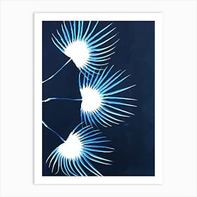 Blue fan palm cyanotype Art Print