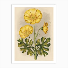 Yellow Poppy 1 Art Print