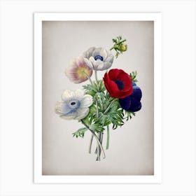 Vintage Anemone Simplex Botanical on Parchment n.0034 Art Print