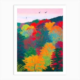 Taman Negara National Park 1 Malaysia Abstract Colourful Art Print
