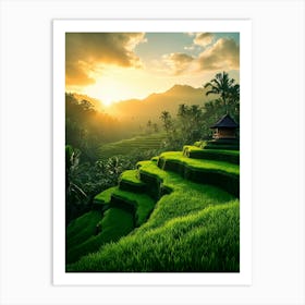 Rice Terraces At Sunset In Bali Art Print