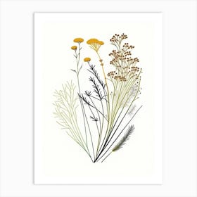 Caraway Spices And Herbs Minimal Line Drawing 5 Art Print