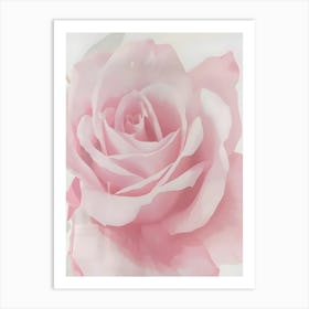 Pink Rose Art Print