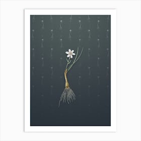 Vintage Snowdon Lily Botanical on Slate Gray Pattern n.0555 Art Print