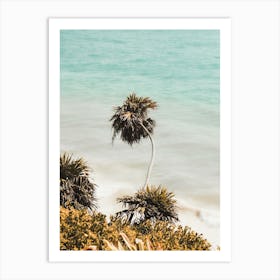 White Sandy Beach Art Print