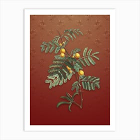 Vintage Sweet Acacia Botanical on Falu Red Pattern n.0575 Art Print