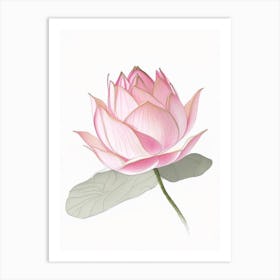 Pink Lotus Pencil Illustration 3 Art Print